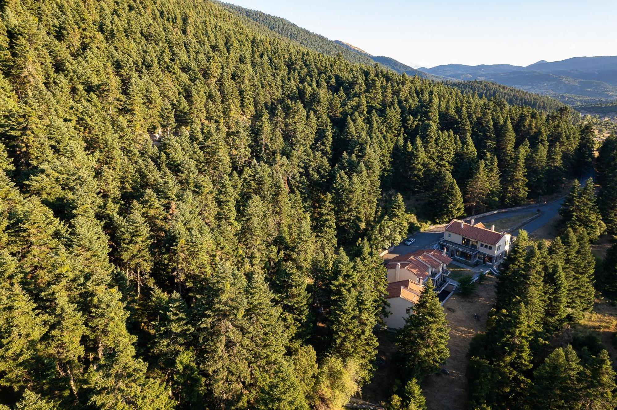 Natura Hotel Vitina Exteriér fotografie