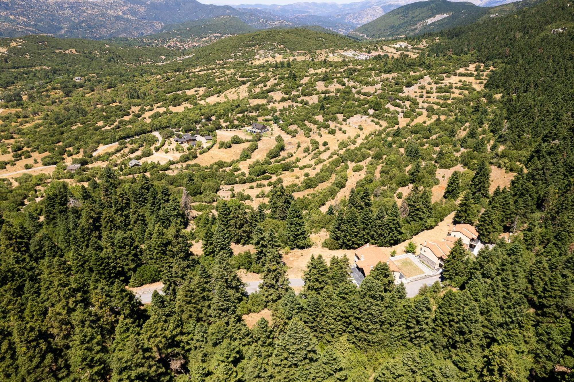 Natura Hotel Vitina Exteriér fotografie