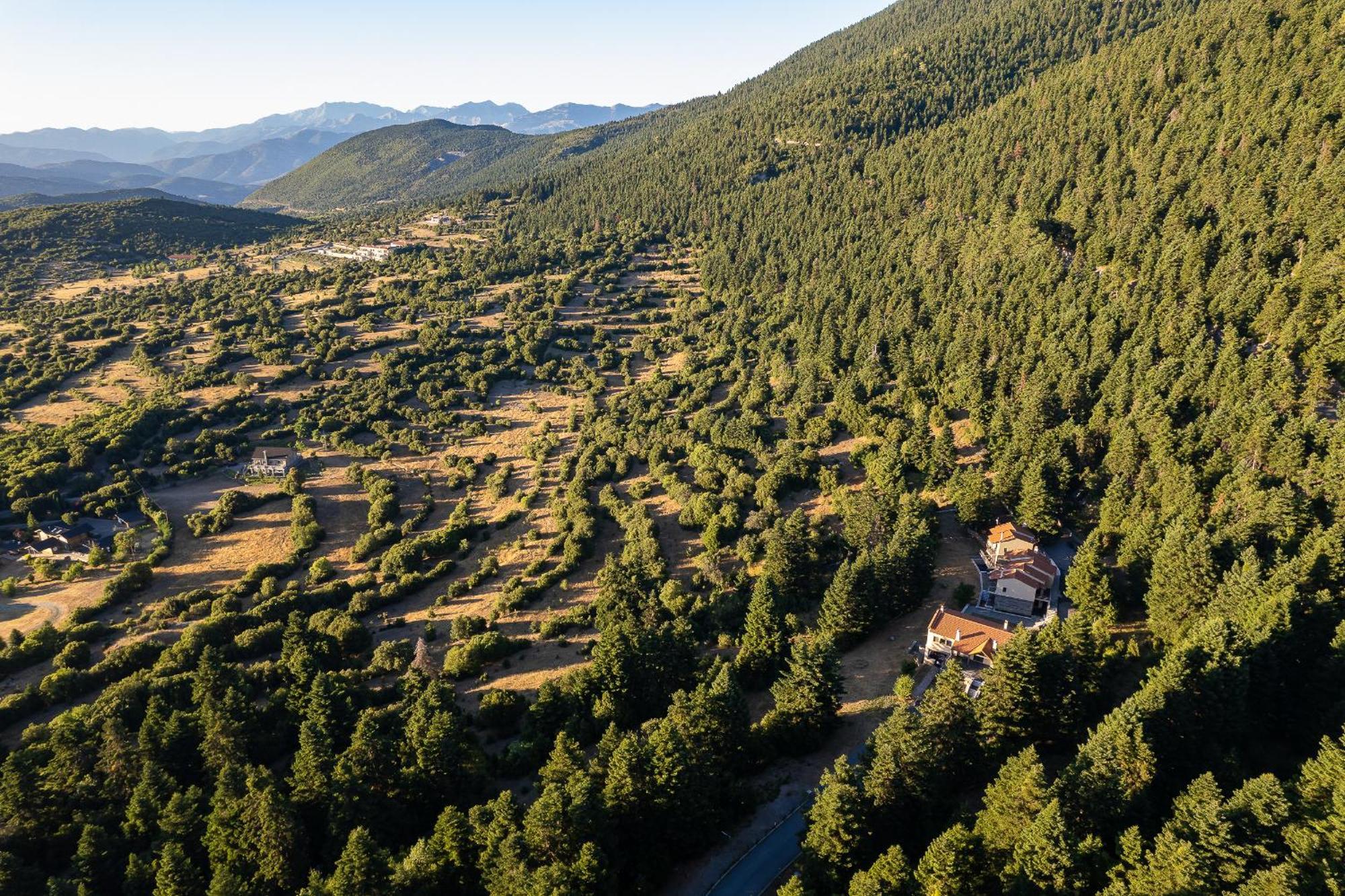Natura Hotel Vitina Exteriér fotografie